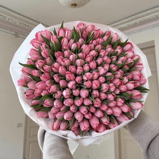 Pink tulips 100 stems