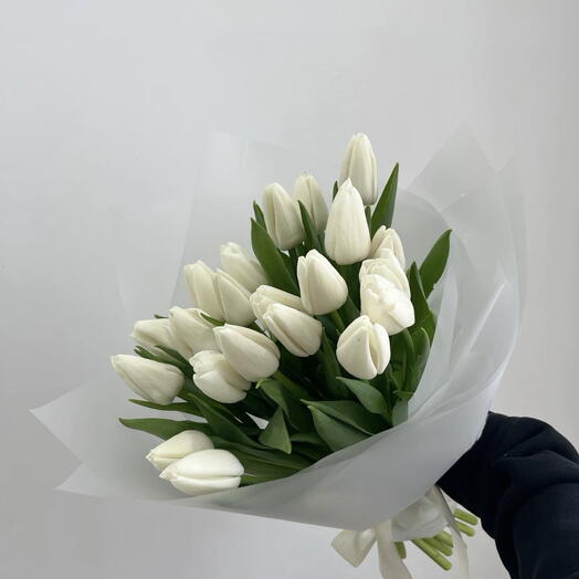 Tulips 1