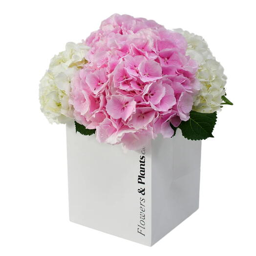 Что-то сладкое