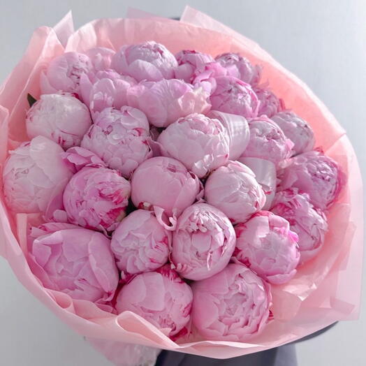 30 pink peonies