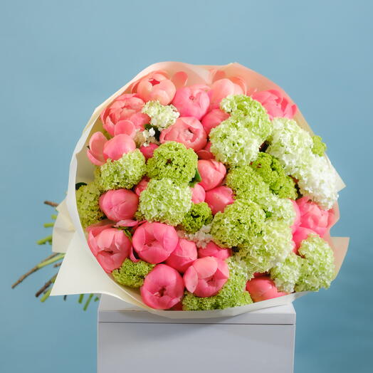 Coral peonies by Grace