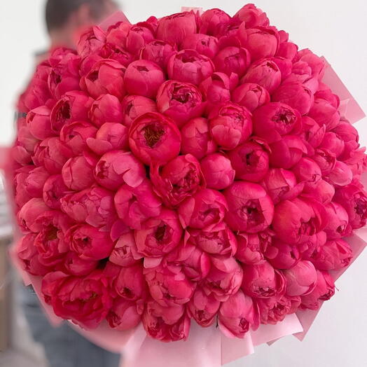 100 coral peonies