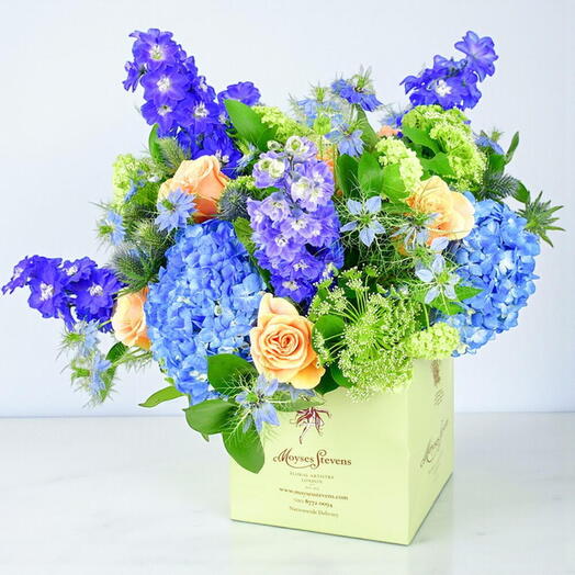 Поля Дартмура