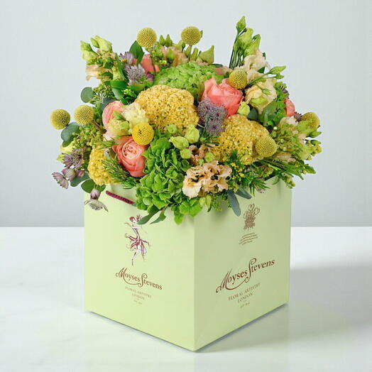 Утренний свет